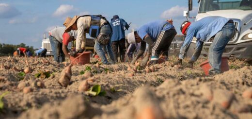 ΧΟΡΗΓΗΣΗ-Ν5078/2023, άρθρο 193.1 ΝΕΑ ΑΔΕΙΑ ΕΡΓΑΣΙΑΣ (3 χρόνια)